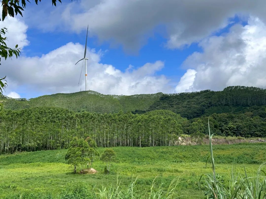 全域土地综合整治，清远全域土地综合整治，佛冈全域土地综合整治，广州全域土地综合整治1